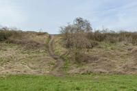 Volker Döhne  
From the series: Pfade, 2016  
Inkjet print  
25 × 37 cm  
© Volker Döhne  
Courtesy the artist