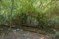 Volker Döhne  
From the series: Pfade, 2016  
Inkjet  
25 × 37 cm  
© Volker Döhne  
Courtesy the artist