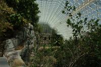 Bik Van der Pol  
Biosphere 2, 2015  
15 inkjetprints