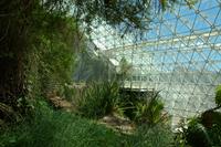 Bik Van der Pol  
Biosphere 2, 2015  
15 inkjetprints