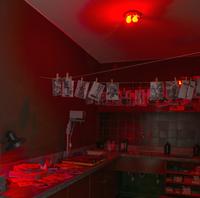 Elmgreen & Dragset, Darkroom, 2017, Photo: Johannes Post