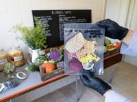 Laura Lima  Meet me in 2044, 2019
Installation shot Alternatives for Living. Blueprints for Haus Lange Haus Esters  
Kunstmuseen Krefeld, Haus Lange, Photo: Dirk Rose