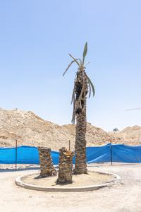 Sharon Ya'ari  
Bnei Or Beersheba  
Courtesy the artist  
Sommer Contemporary Art, Tel Aviv / Zurich  
Martin Janda Galerie, Wien