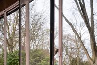 Ludwig Mies van der Rohe  
Haus Lange, 1927–1930, Krefeld  
Renovation 2016–2019  
Photo: Dirk Rose