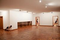 Linda Nadji  
AUF/ZU. Test Assemblies  
Body/Space/Interior  
Performance  
Exh. Alternatives for Living, Prologue: Mixed Reality, Haus Lange/Kunstmuseen Krefeld 01.23.2019  
Photo: Linda Nadji