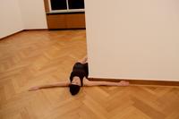 Linda Nadji  
AUF/ZU. Test Assemblies  
Body/Space/Interior  
Performance  
Exh. Alternatives for Living, Prologue: Mixed Reality, Haus Lange/Kunstmuseen Krefeld 01.23.2019  
Photo: Linda Nadji