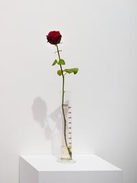 Sammlung in Bewegung—15 Räume 15 Geschichten. Installationsansicht im KWM mit / Installation view at KWM with Joseph Beuys
Foto/Photo: Kunstmuseen Krefeld / Dirk Rose